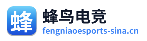 蜂鸟电竞